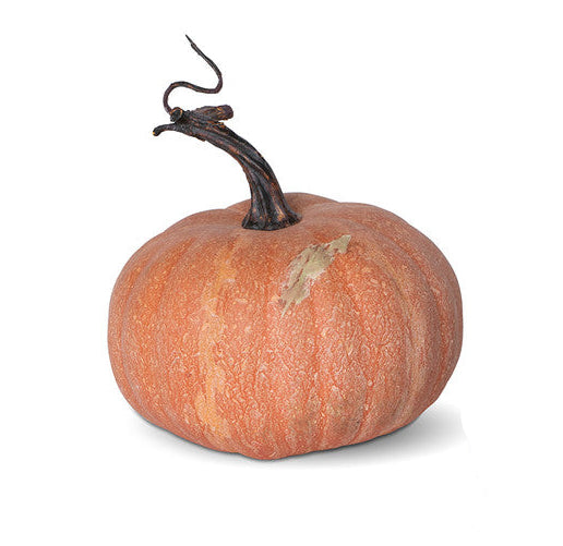 Autumn Garden Pumpkins