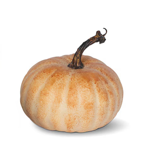 Autumn Garden Pumpkins