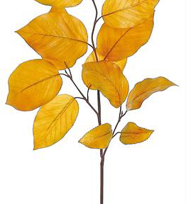 Autumn Salal Leaf Spray