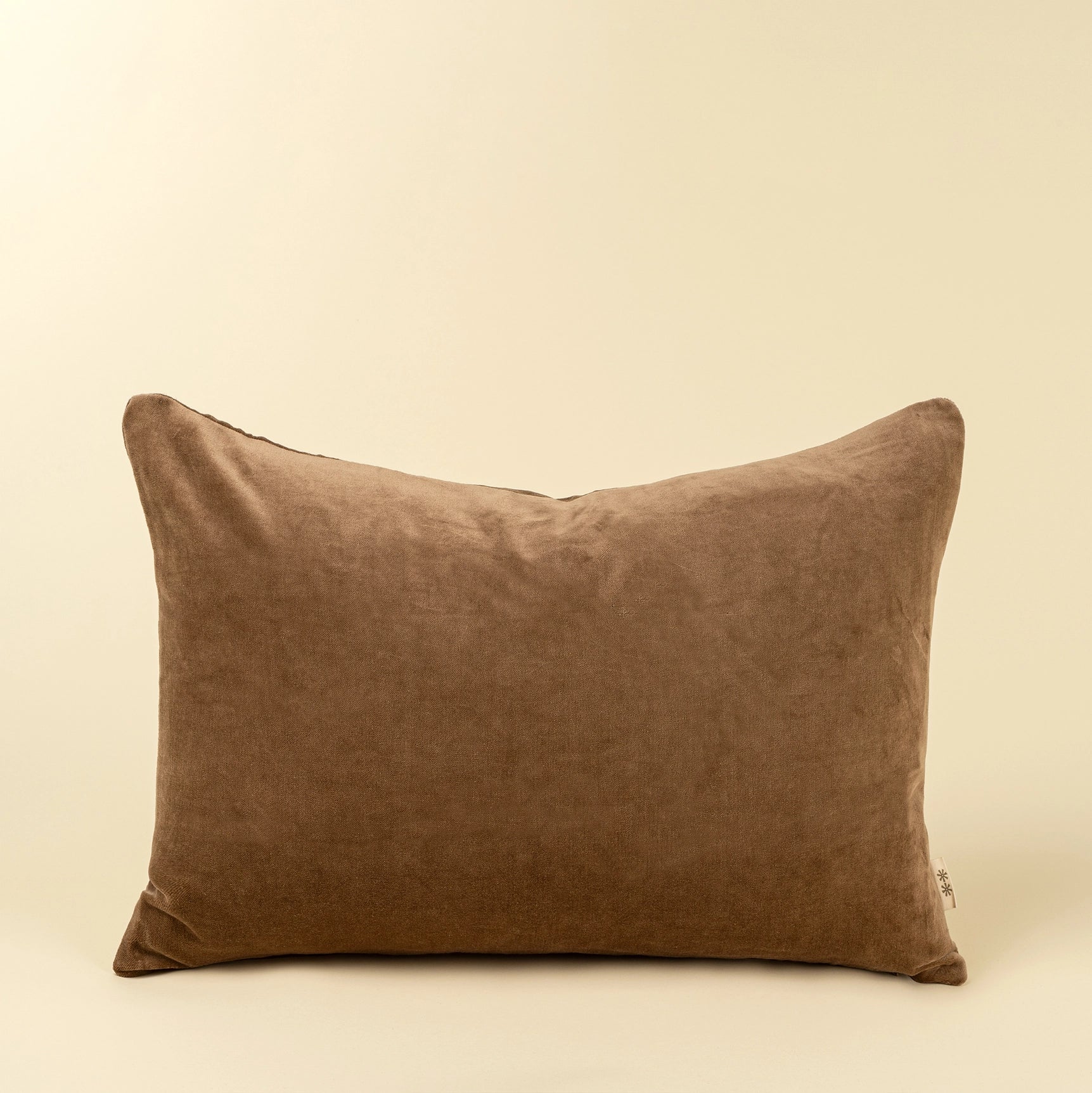 The Vera Velvet Lumbar Pillows